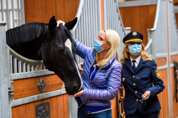 Dienststellenbesuch Reitergruppe Oberbayern Süd