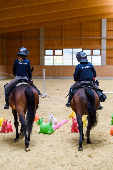 Dienststellenbesuch Reitergruppe Oberbayern Süd