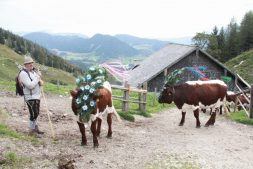 Almabtrieb_Halsalm_Treiber_CMYK_IMG_9512