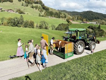 Almabtrieb_Kaelbchen_CMYK_IMG_3717