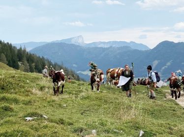 Almabtrieb_Sennerin_JohannaDeml_CMYK_IMG_3683