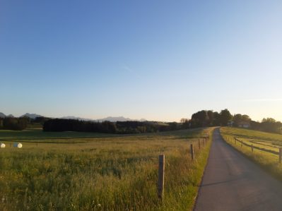 Atzing Fahrbahnerneuerung (1)