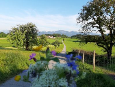 Atzing Fahrbahnerneuerung (2)