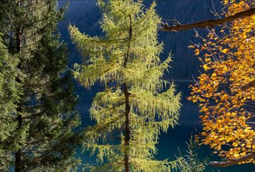Farbenprächtiger Oktobertag unter der Zugspitze