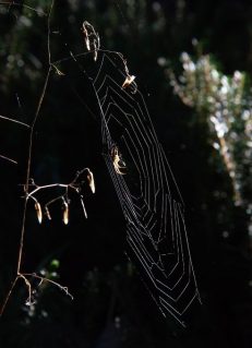 Farbenprächtiger Oktobertag unter der Zugspitze