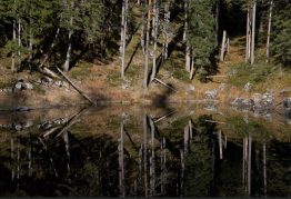 Farbenprächtiger Oktobertag unter der Zugspitze