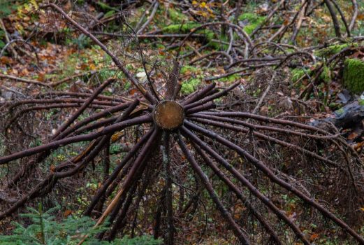 Farbenprächtiger Oktobertag unter der Zugspitze