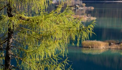 Farbenprächtiger Oktobertag unter der Zugspitze
