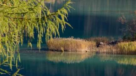 Farbenprächtiger Oktobertag unter der Zugspitze