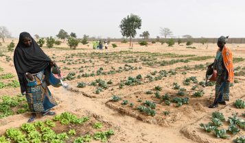 Niger, Maradi, katholische Kirche
