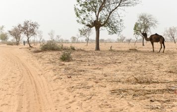 Niger, Maradi, village Dan Bako