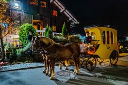 Wirtshausmusikanten-1020206