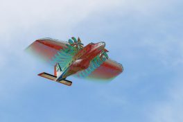 ueberblendung-von-ueberflug-des-dlr-forschungsflugzeugs-do-228