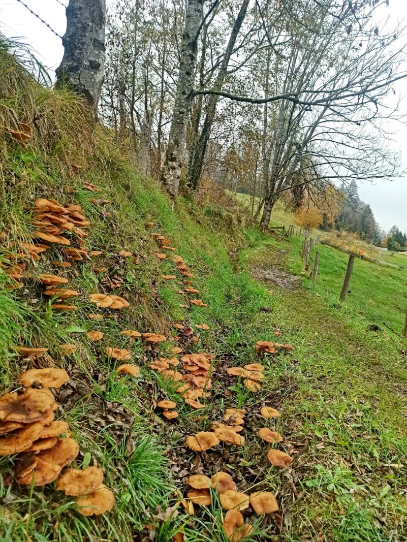 0436c06b-4c8b-4b82-a001-c9f3136987d6