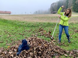 1Laubfrosch mit Mama