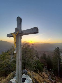 295d2620-36fe-4087-840a-6b6393259e20