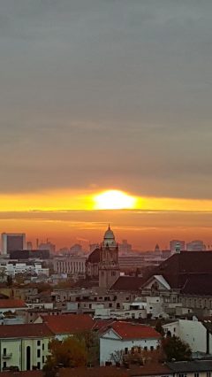 29e53fdd-f6b9-463b-b1c7-8ebf46baaf10