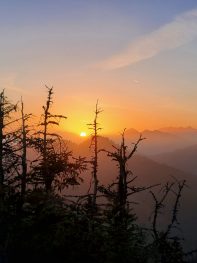 431907f4-eea8-4206-8fd2-3e7a66937e43