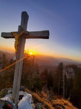 4ec373af-880b-42e6-a045-b8cde29596b1