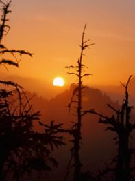 572da96d-5591-4846-b03d-08474c2c77d8