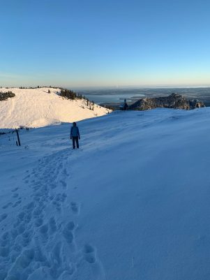 62de4184-d8cf-4311-8bb5-70a0a8db4201