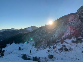 680b3ced-32ca-401a-93ca-40efc1983705