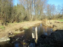 Moorlandschaft zwischen Amerang, Zillham und Halfing
