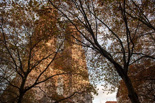 Allerseelen Karl Marx (4)