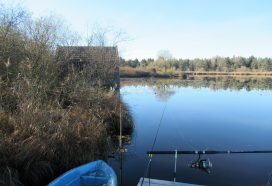 Moorlandschaft zwischen Amerang, Zillham und Halfing