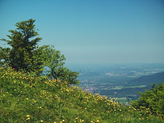 Aussicht_nach_Bad_Tölz