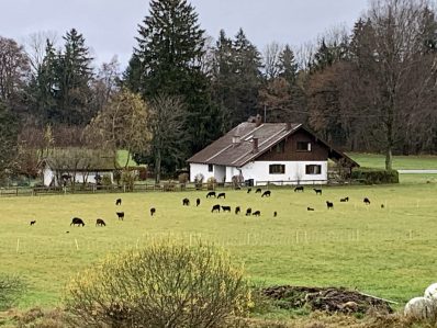 Blick vom Salinweg - nah