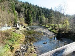 Wandern an der Leitzach: Rundweg Wörnsmühl
