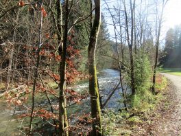 Wandern an der Leitzach: Rundweg Wörnsmühl