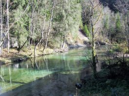 Wandern an der Leitzach: Rundweg Wörnsmühl