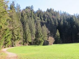 Wandern an der Leitzach: Rundweg Wörnsmühl