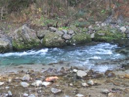 Wandern an der Leitzach: Rundweg Wörnsmühl