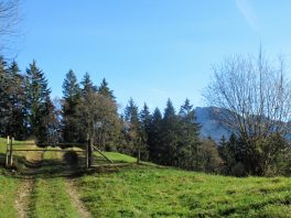 Wandern an der Leitzach: Rundweg Wörnsmühl