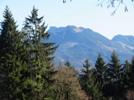 Wandern an der Leitzach: Rundweg Wörnsmühl