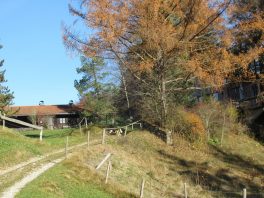 Wandern an der Leitzach: Rundweg Wörnsmühl