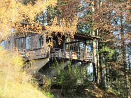 Wandern an der Leitzach: Rundweg Wörnsmühl