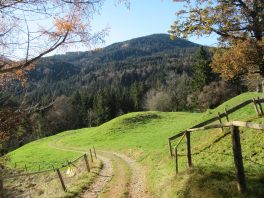 Wandern an der Leitzach: Rundweg Wörnsmühl