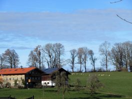 Wandern an der Leitzach: Rundweg Wörnsmühl