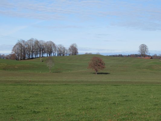 Wandern an der Leitzach: Rundweg Wörnsmühl