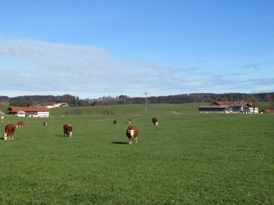 Wandern an der Leitzach: Rundweg Wörnsmühl