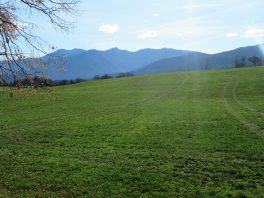 Wandern an der Leitzach: Rundweg Wörnsmühl