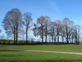 Wandern an der Leitzach: Rundweg Wörnsmühl