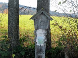 Wandern an der Leitzach: Rundweg Wörnsmühl