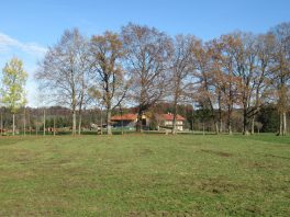 Wandern an der Leitzach: Rundweg Wörnsmühl
