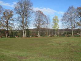 Wandern an der Leitzach: Rundweg Wörnsmühl