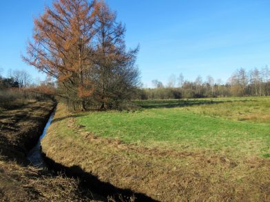Moorlandschaft zwischen Amerang, Zillham und Halfing